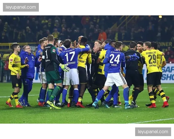 通讯：沙尔克04重返德甲，鲁尔区迎来久违的“矿区德比”